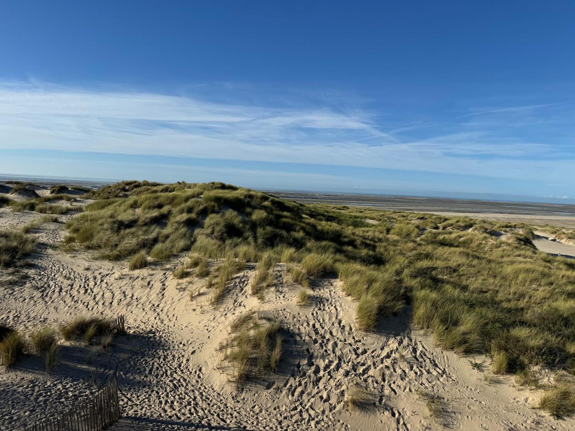 Le Touquet - Superbe Appartement 3 Chambres - Proche Mer & Centre - Wifi Экстерьер фото
